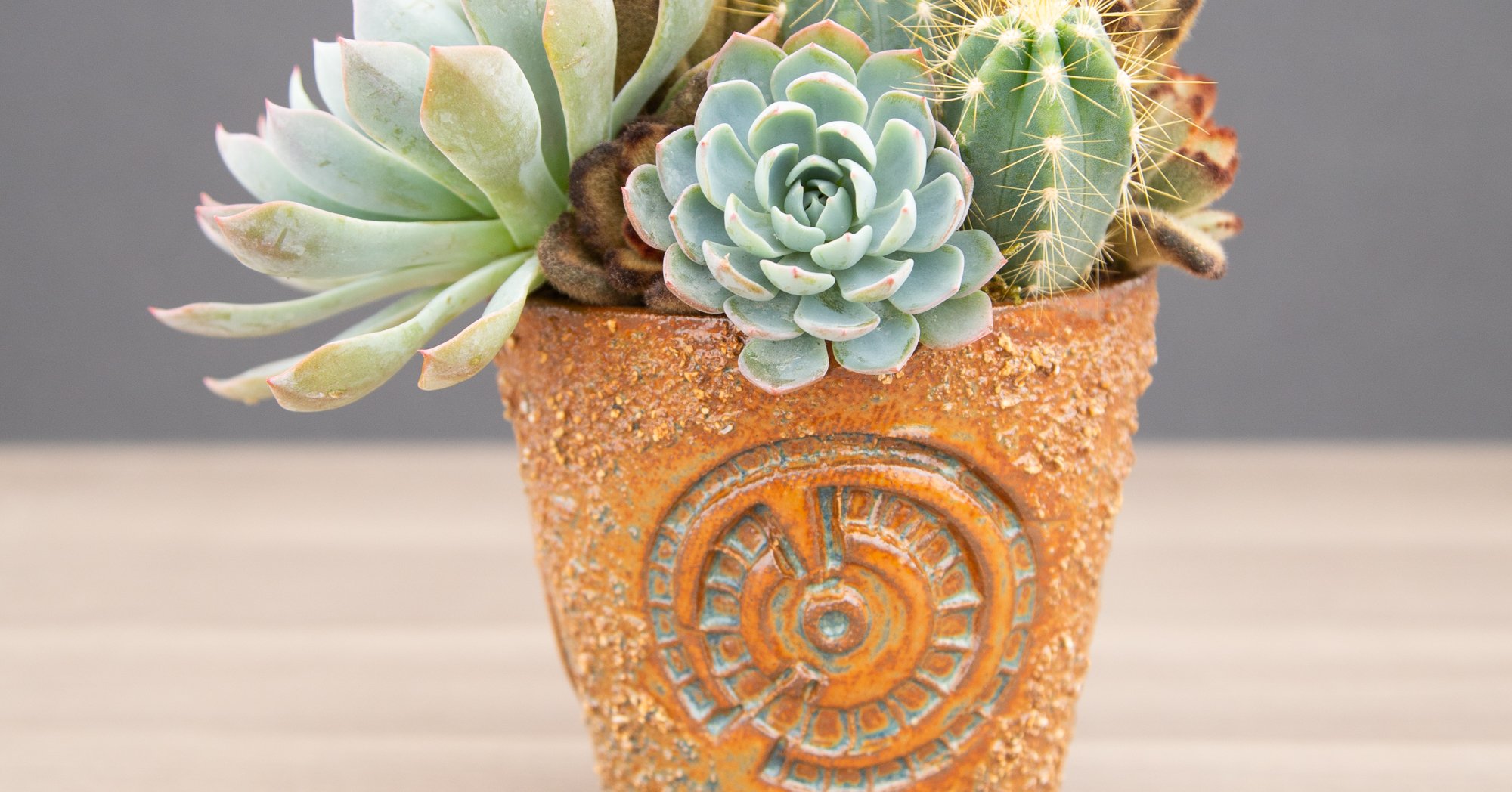 pots for succulents