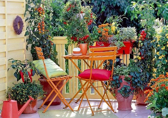 vegetable garden in apartment