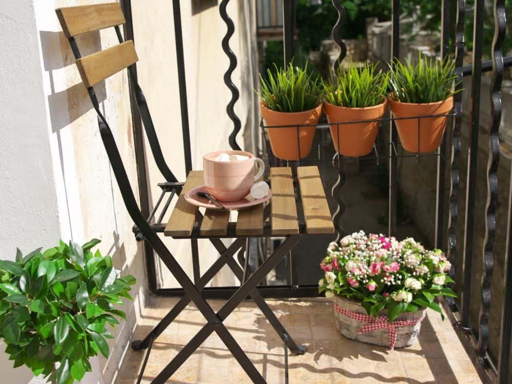 vegetable garden in apartment