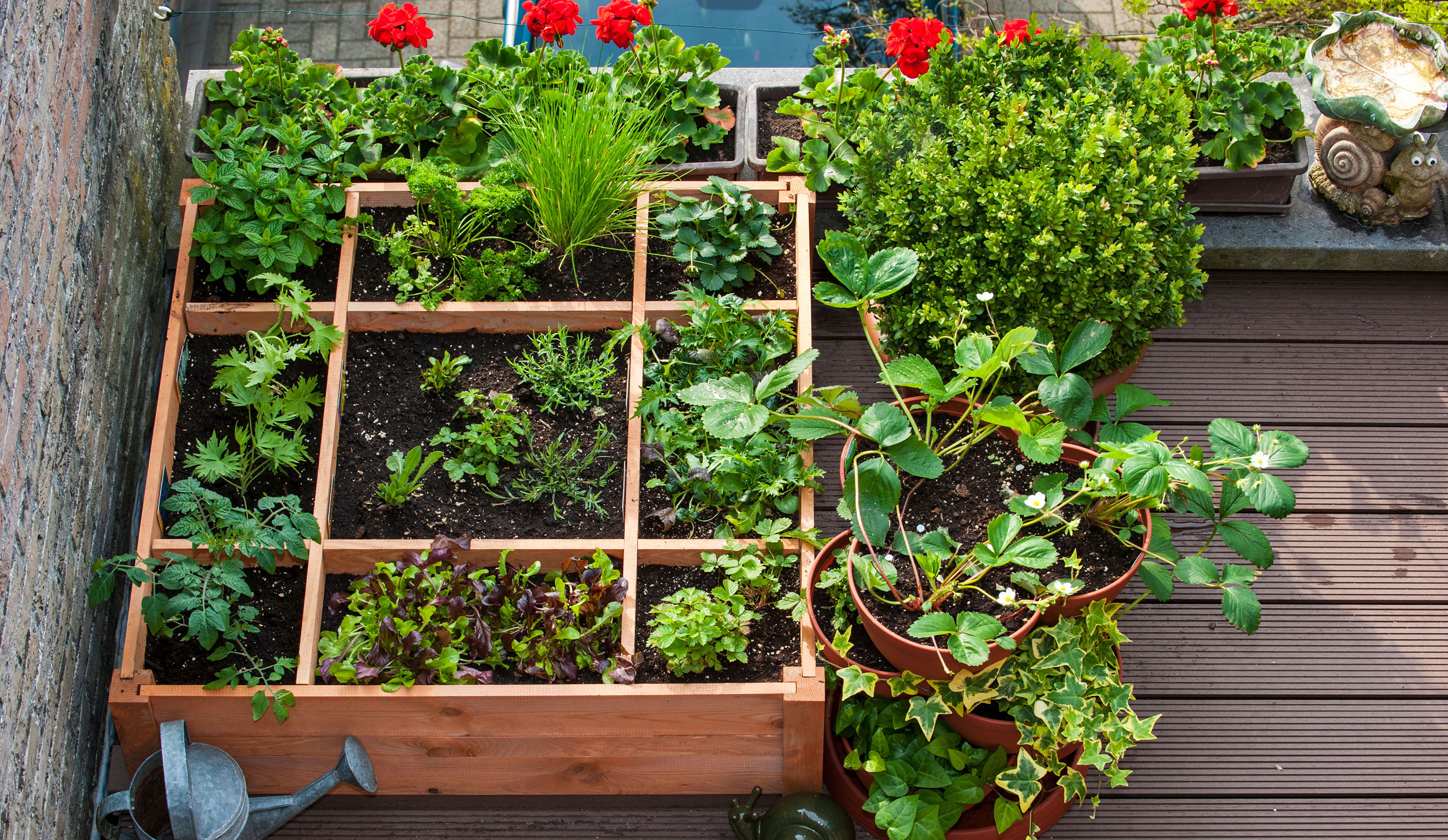 vegetable garden in apartment