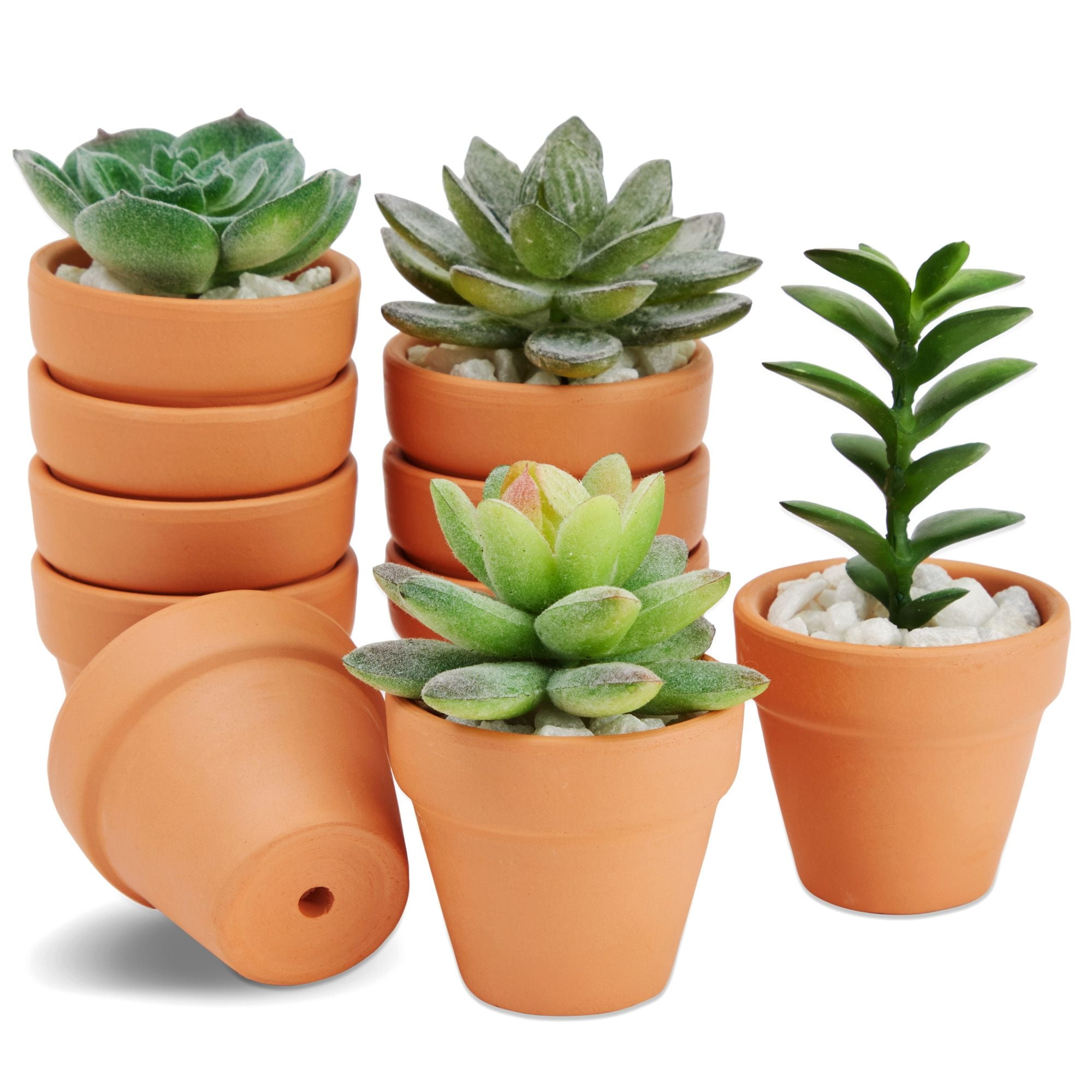 pots for succulents