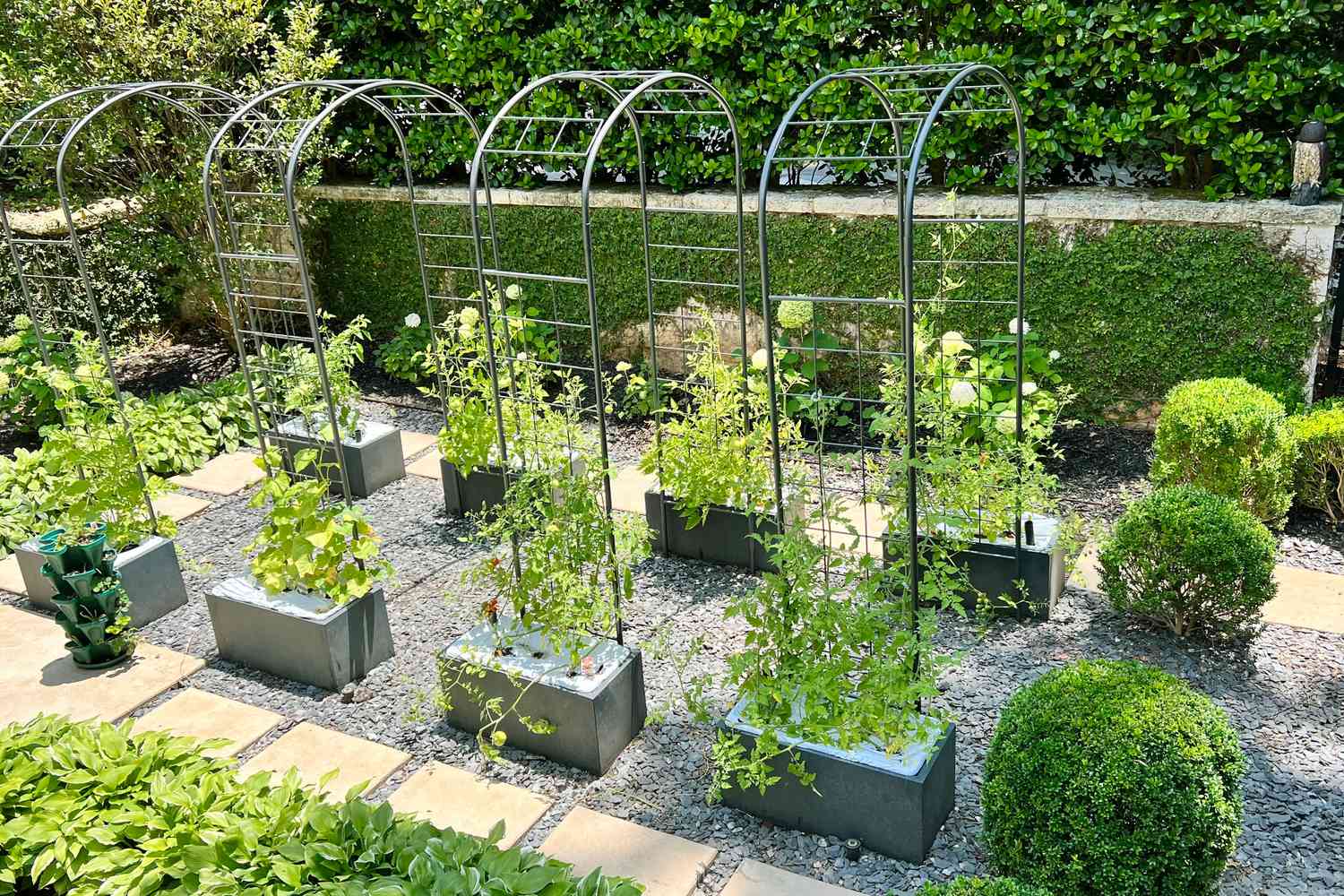 vegetable garden in apartment