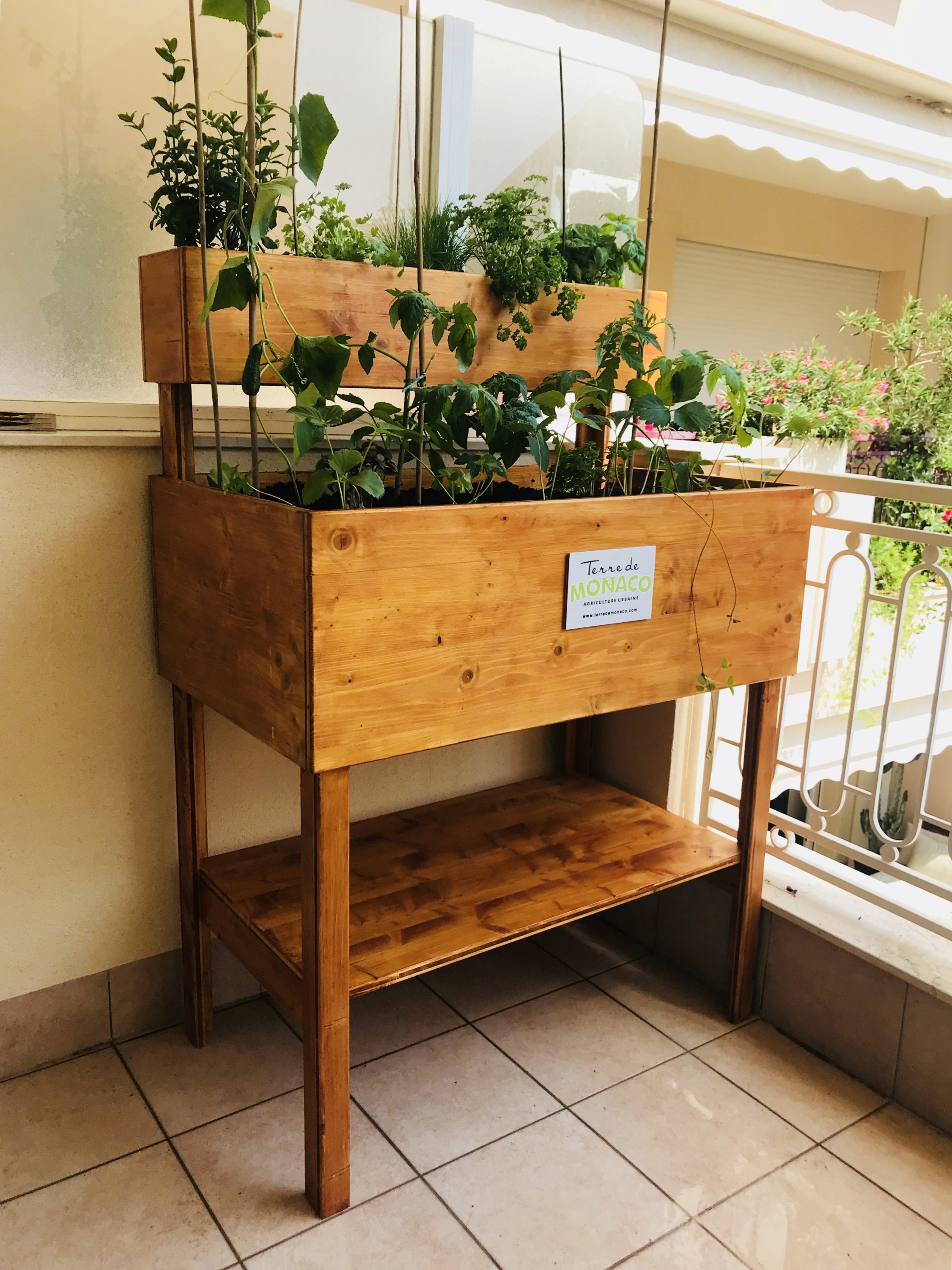 vegetable garden in apartment