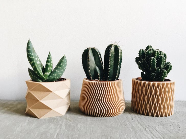 pots for succulents