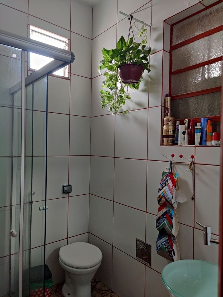 Jibóia no banheiro