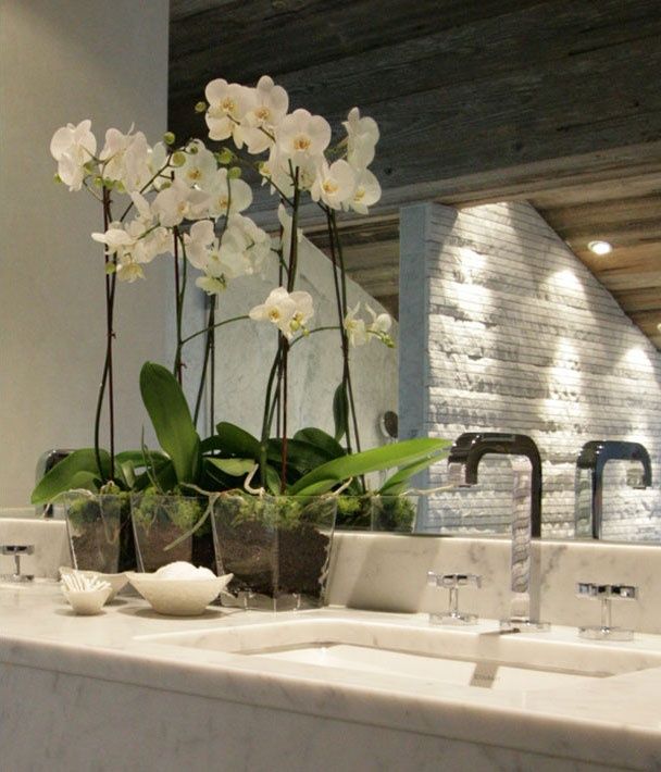 Orquídeas no banheiro