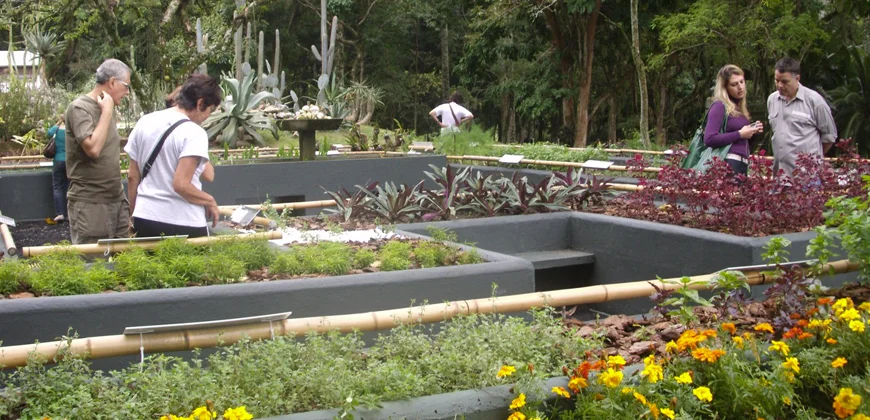 Jardim Sensorial promove experiência ...