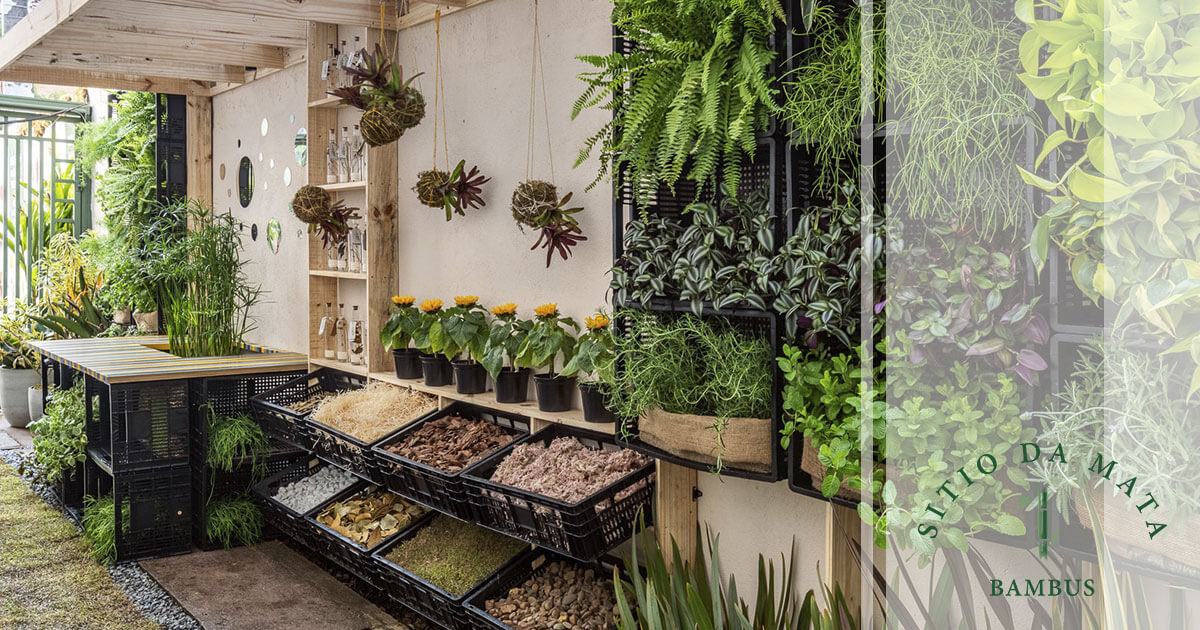 Jardim Sensorial: O Estilo e Plantas ...