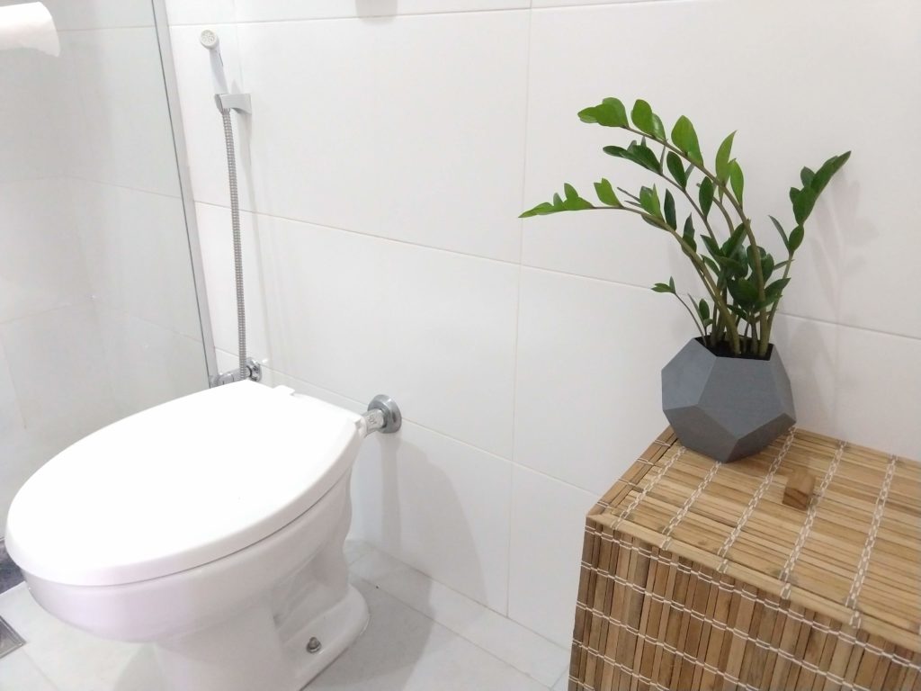 5 plantas para colocar no banheiro ...
