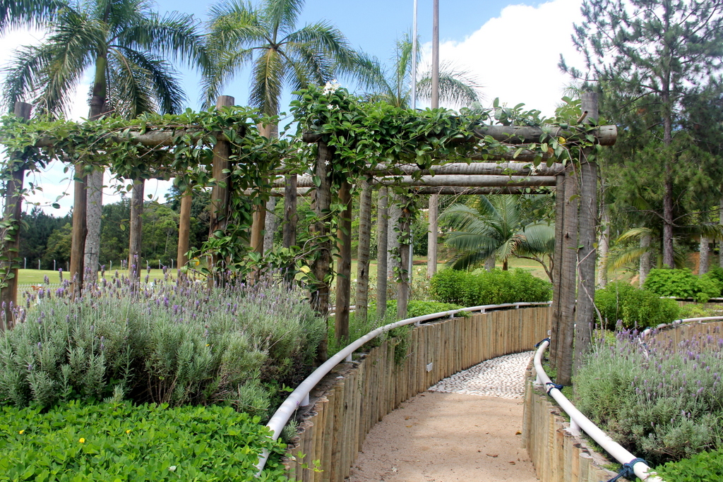 Jardim Sensorial - Site Institucional ...