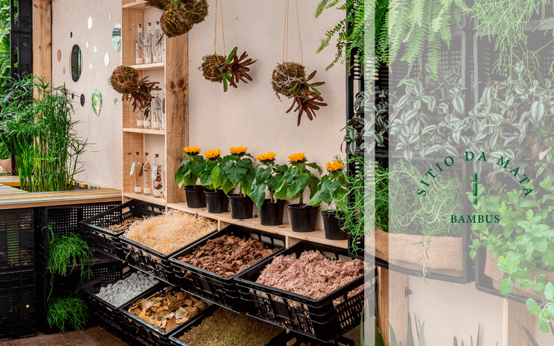 Descubra o que é um jardim sensorial e ...
