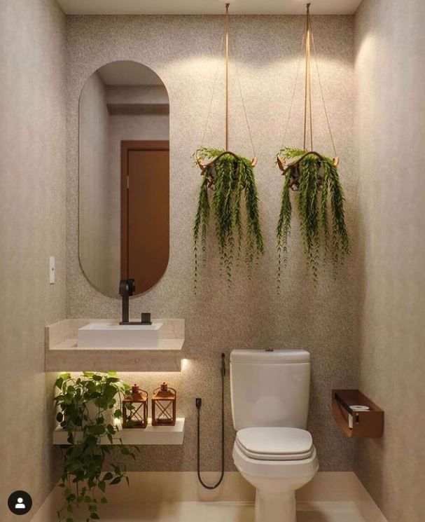 10 plantas que ficam incríveis na ...