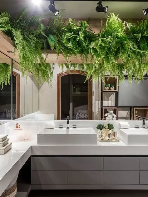 Plantas para banheiro: 7 opções fáceis ...