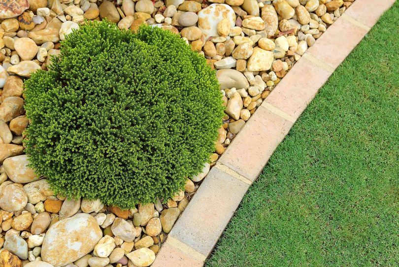 Jardim com seixos: o que considerar na ...