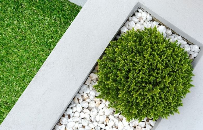 Seixo para Jardim: Dicas & Inspiração ...