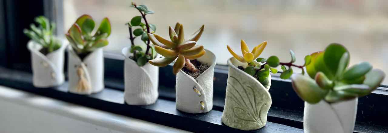 pots for succulents