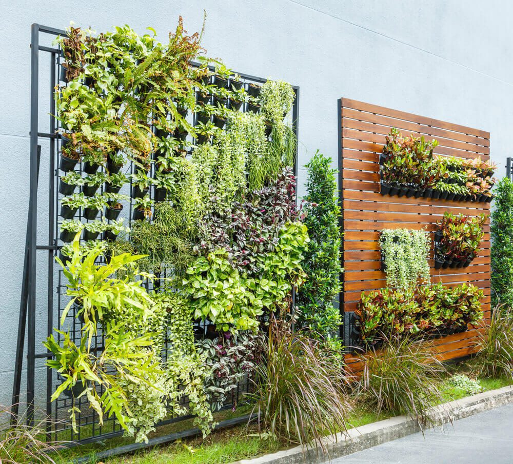 jardim-vertical-como-fazer