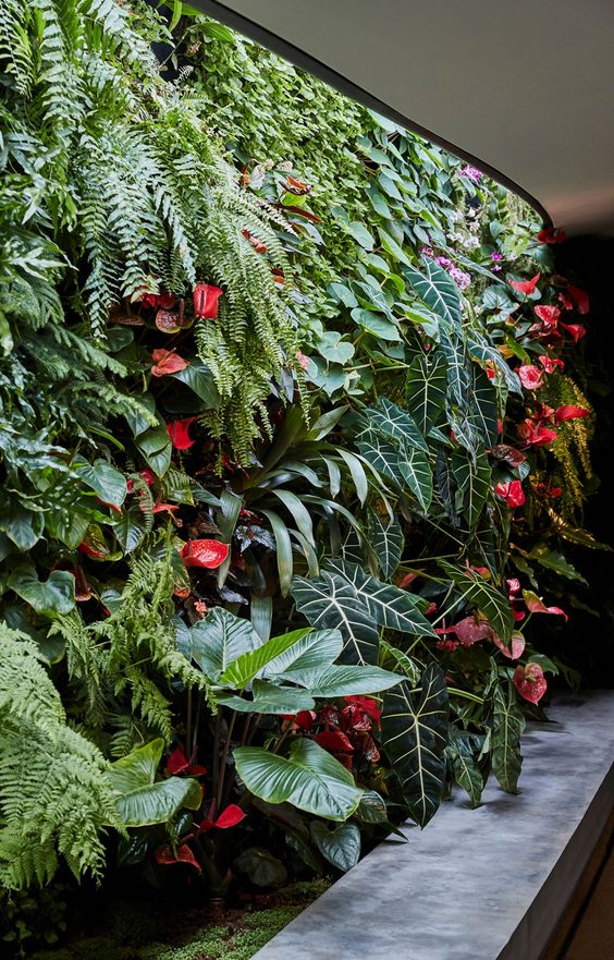 jardim-vertical-como-fazer