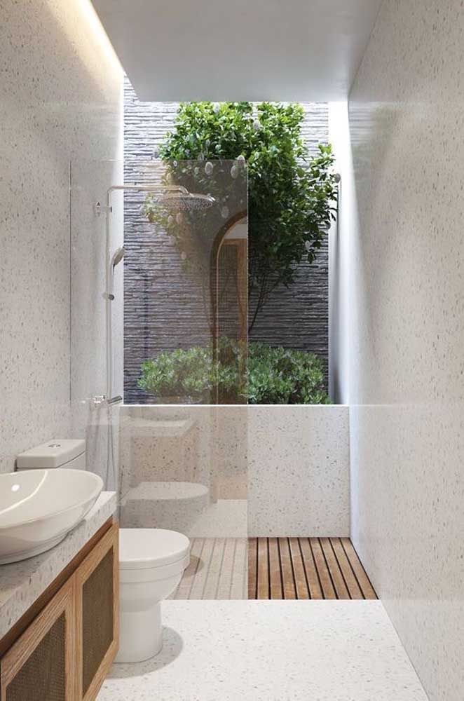 banheiro-com-jardim-de-inverno