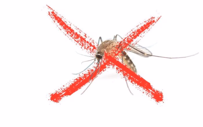 A lâmpada mística que bane o mosquito da dengue da sua casa