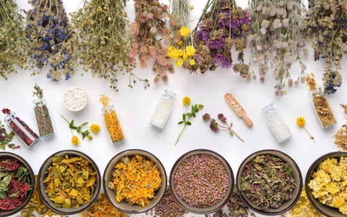 As plantas medicinais que você pode plantar em casa e como cultivar