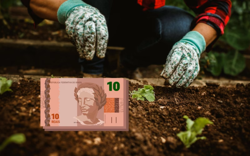 Gaste até R$ 30 para reviver sua horta caseira hoje mesmo