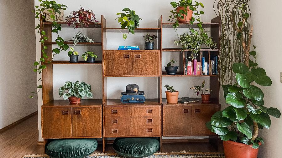 Estante Vintage: Detalhes que Contam Histórias - detalhe