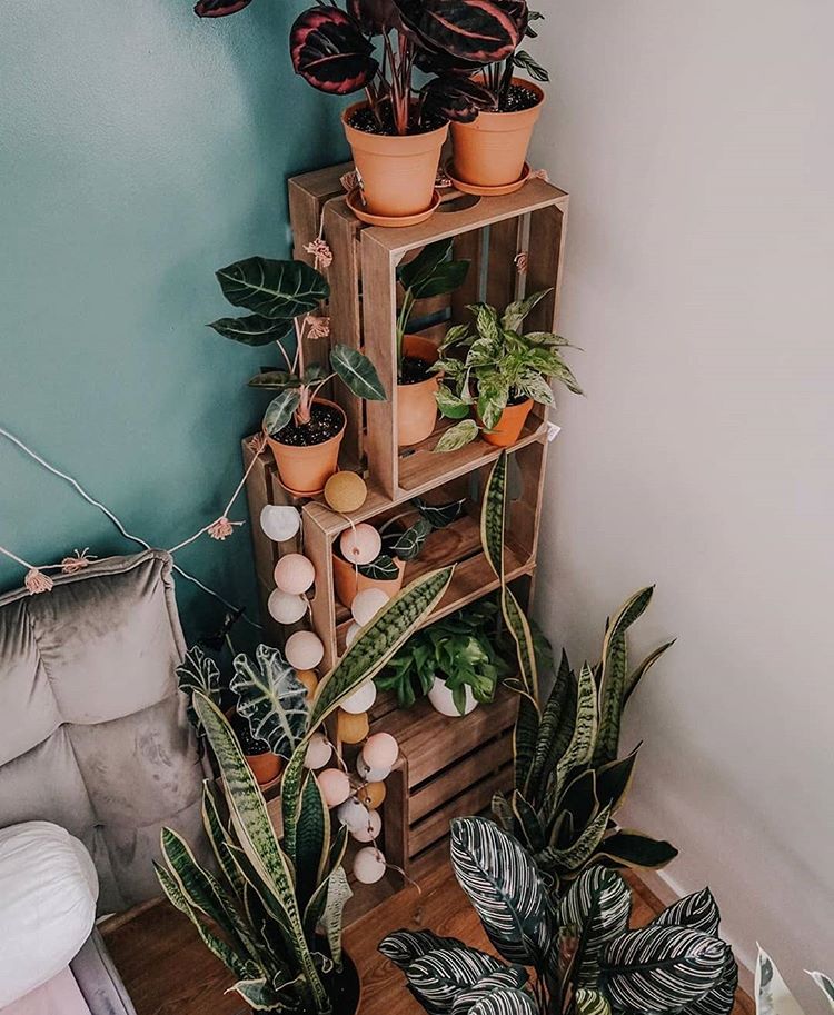 Cantinho do Café: Caixotes como Suporte para sua Pausa Diária - ideia