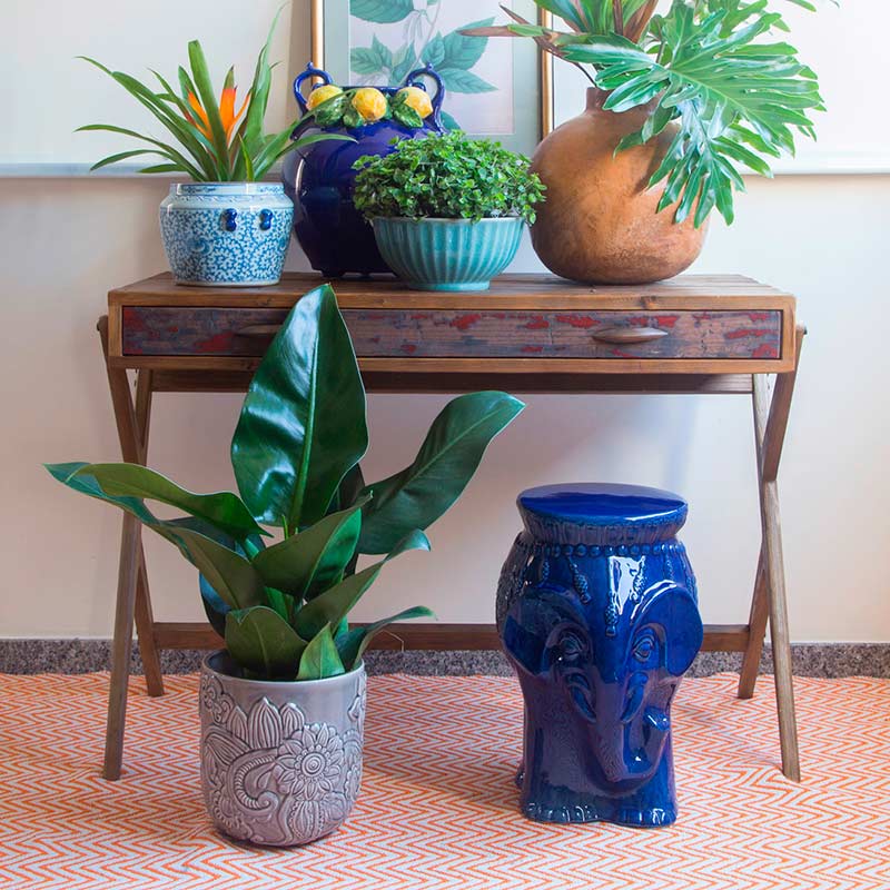 Vasos com Pintura Degradê: Cores Vibrantes e Personalidade - detalhe