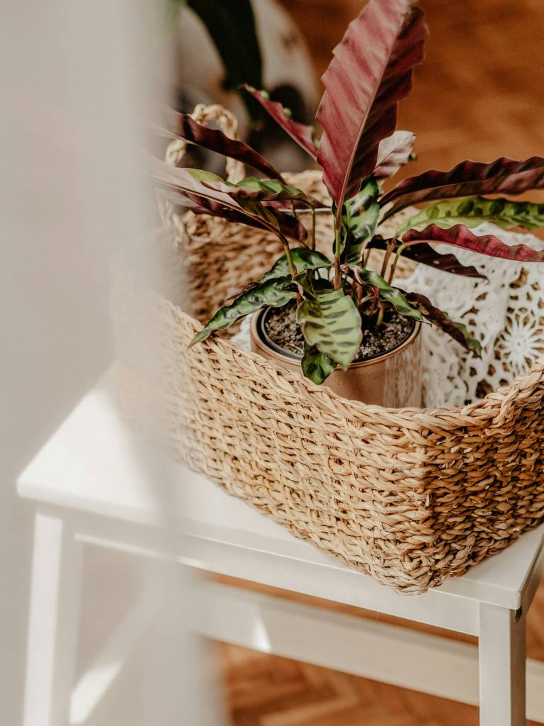 Decoração Boho com Macramê e Folhagens Secas - ideia