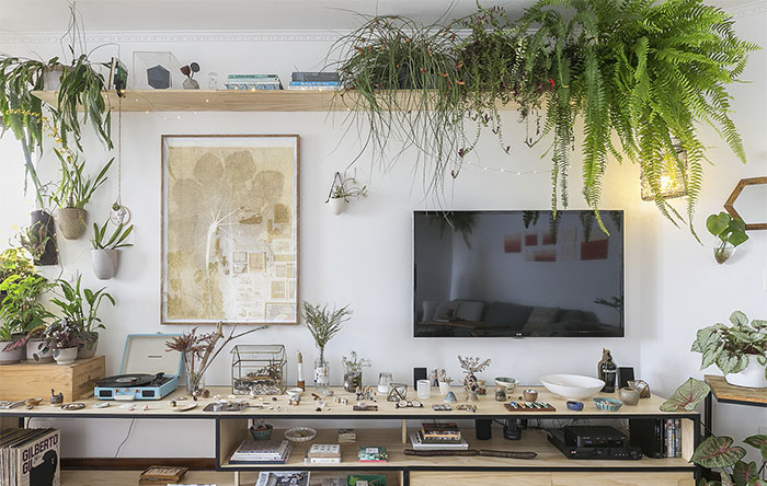 Rack Vibrante: Decore com Plantas, Cores Vivas e Acessórios Divertidos - ideia