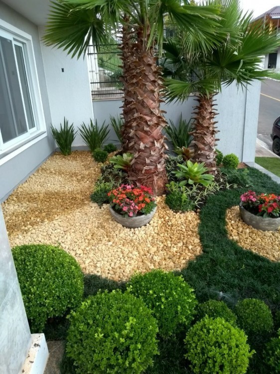 Contrastando com Flores Coloridas: Explosão de Cores no Seu Jardim - ideia