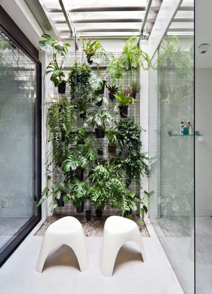 Jardim de Inverno Vertical com Treliças: O Verde Que Sobe Pelas Paredes - inspiração