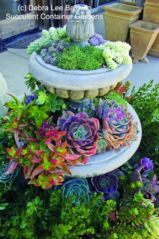 Suculentas em Vasos Decorados com Pedras e Conchas: Lembranças do Mar - ideia