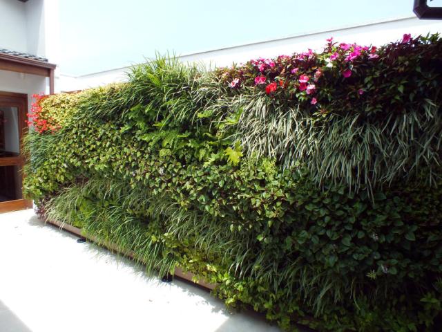 Com Plantas Pendentes: Um Jardim Vertical Discreto - detalhe