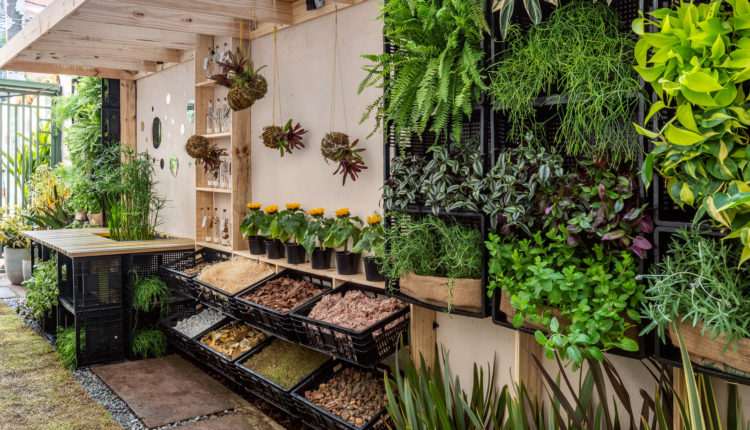 Jardim Sensorial com Aromáticas: um convite aos sentidos - inspiração