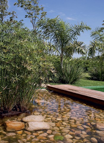 Com Espelho d'Água e Pedras Decorativas - ideia