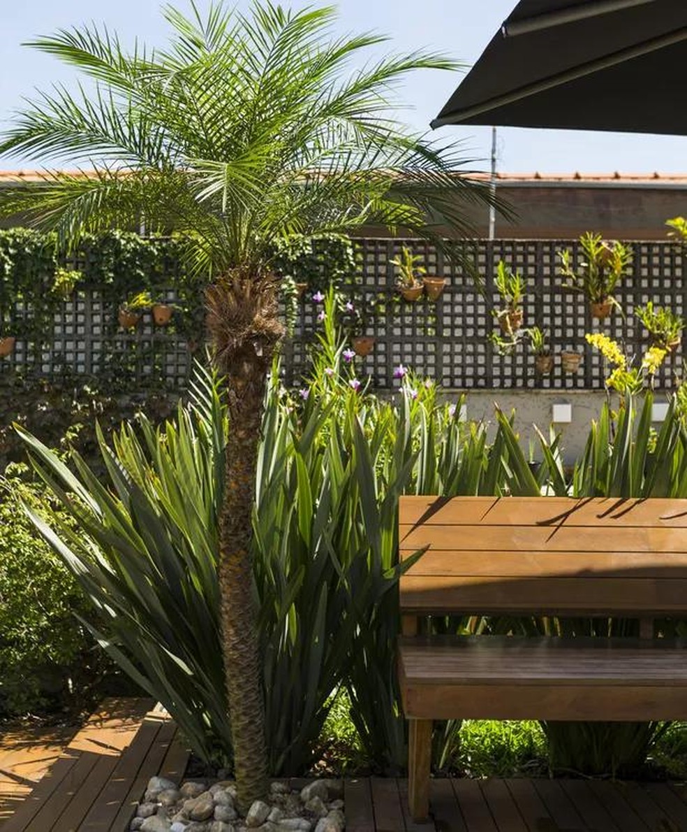 Girassóis Urbanos: Um Toque Campestre na Varanda - inspiração