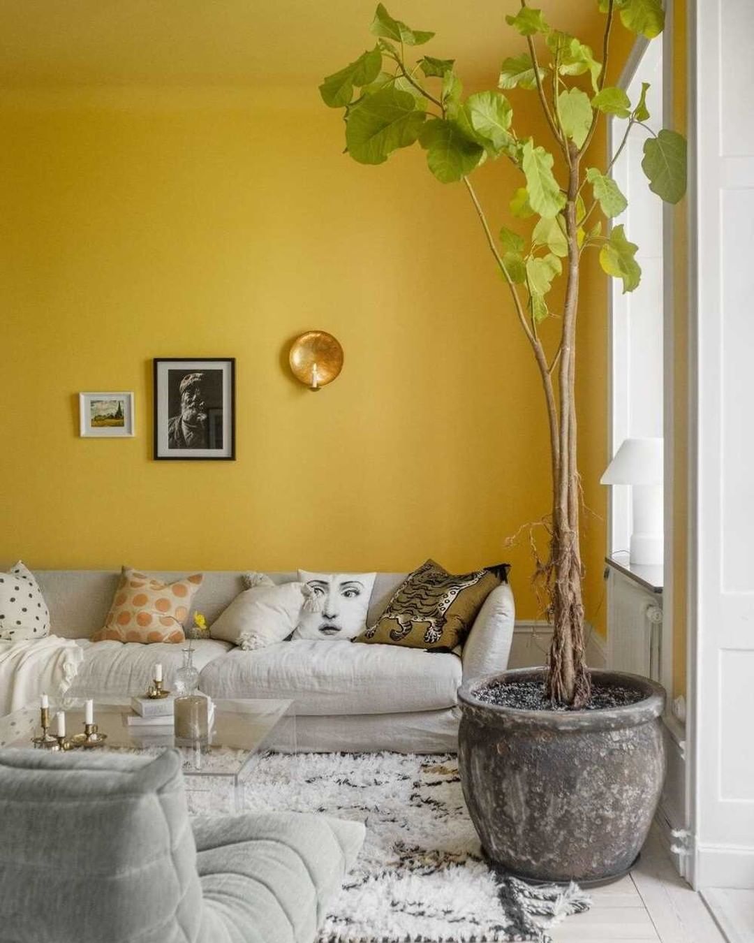 Amarelo Palha Relaxante com Plantas Pendentes - detalhe