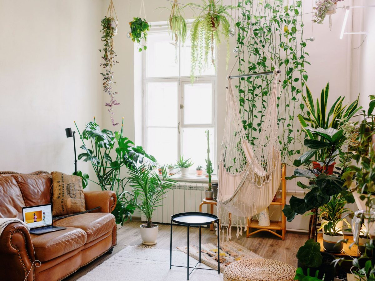 Com Plantas Pendentes: Natureza e Relaxamento - inspiração