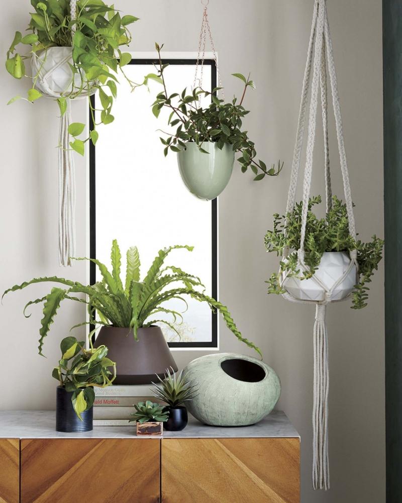 Vasos Suspensos em Macramê: Boemia e Leveza no Seu Espaço - detalhe