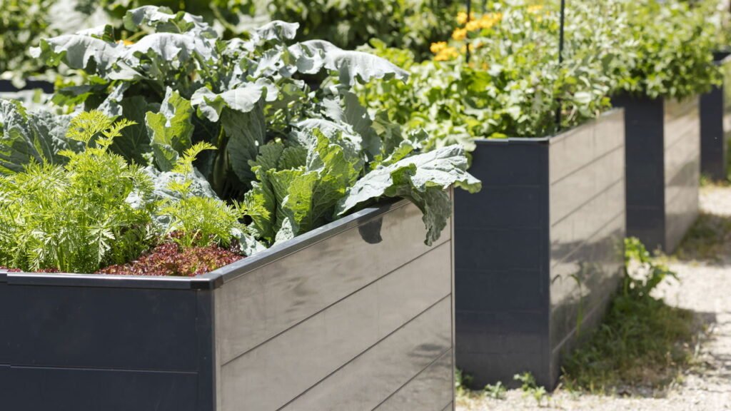 Em Canteiros Elevados: Design e Funcionalidade para sua Horta - detalhe
