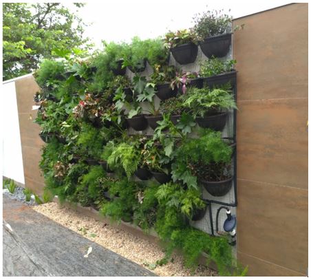 Jardim Vertical com Irrigação Automática: O Paraíso na Sua Parede - detalhe