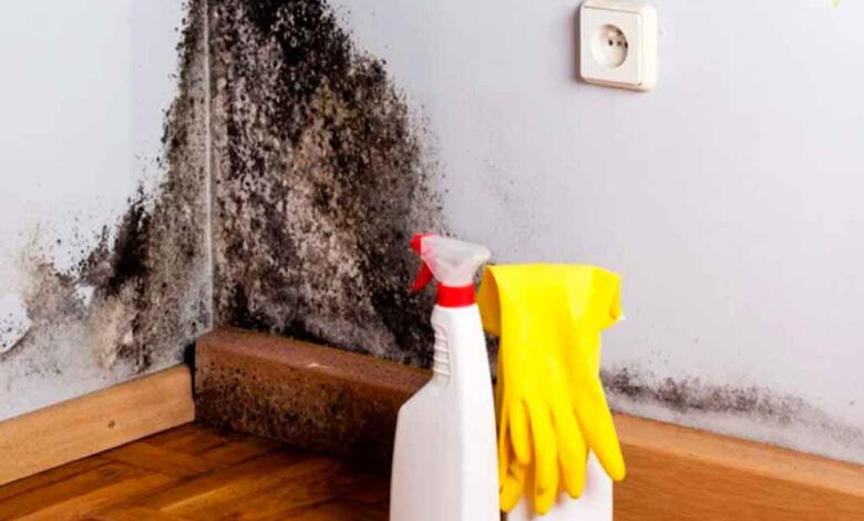 Luz e Sombra: Iluminação Estratégica para Disfarçar Imperfeições - inspiração