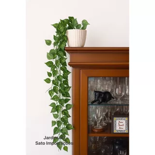 Paredes Vivas com Prateleiras e Plantas Pendentes - inspiração