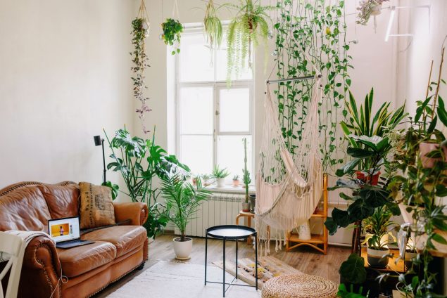 Plantas que Alegram e Purificam: Um Jardim Dentro de Casa - inspiração