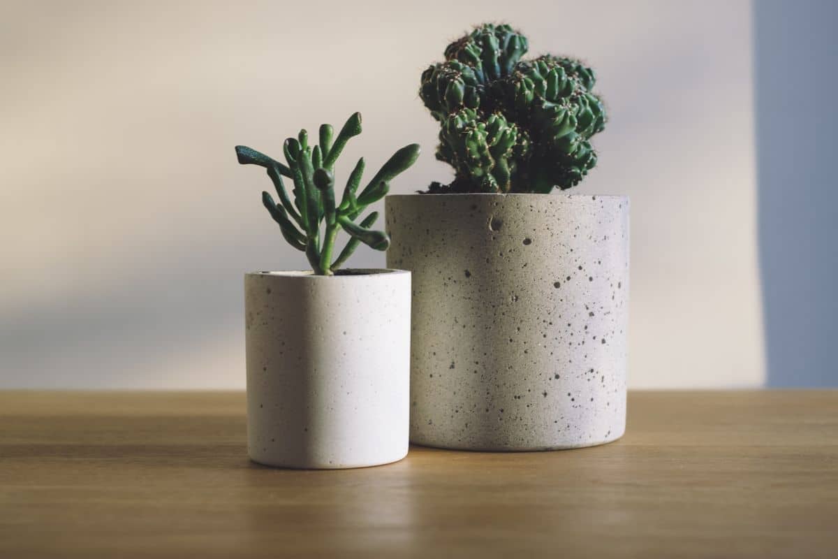 Vasos de Cimento DIY com Pintura Geométrica: Personalização Criativa - ideia