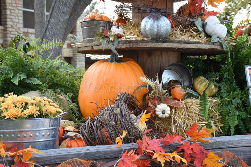 Decoração de Mesa com Abóboras e Flores: Celebração da Colheita - ideia