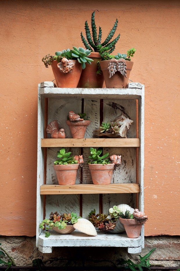 Jardim de Suculentas em Escada de Madeira Rústica: Originalidade e Altura - inspiração