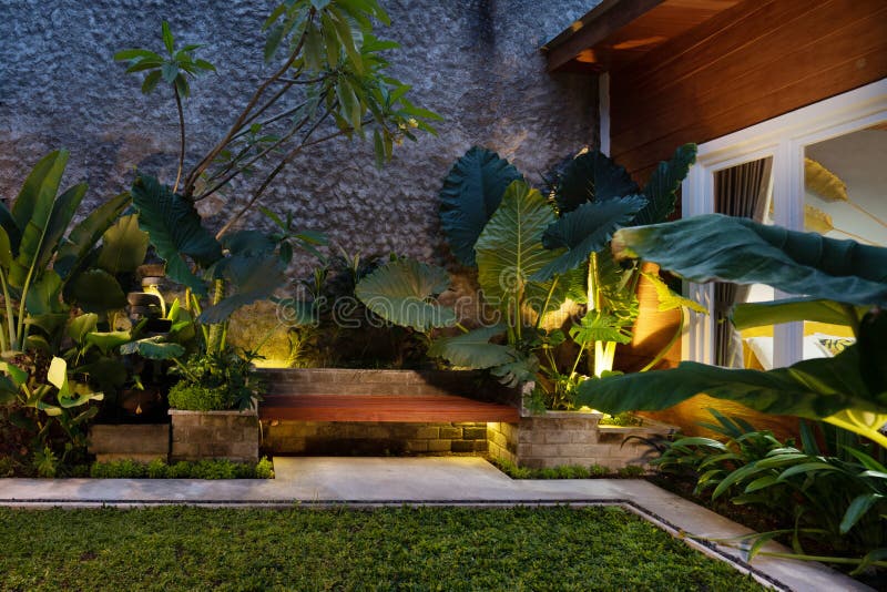 Jardim Tropical Noturno: Iluminação que realça a beleza das plantas - inspiração
